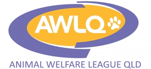 charity, animal welfare league