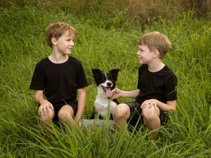 two young brothers and their black and white pet dog sitting in grass talking