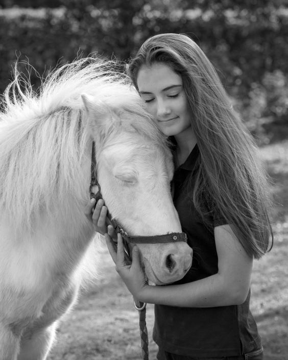 pet photography brisbane portrait horse