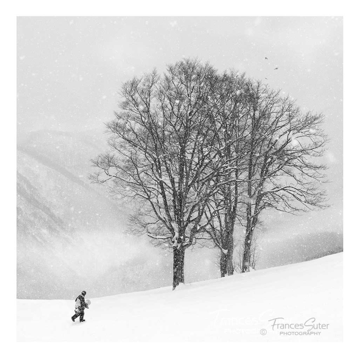 landscape-snow-photographer