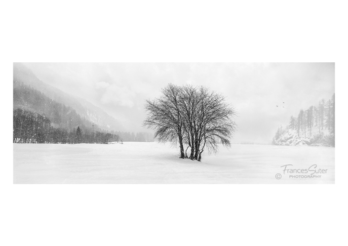 winter-landscape-photographer