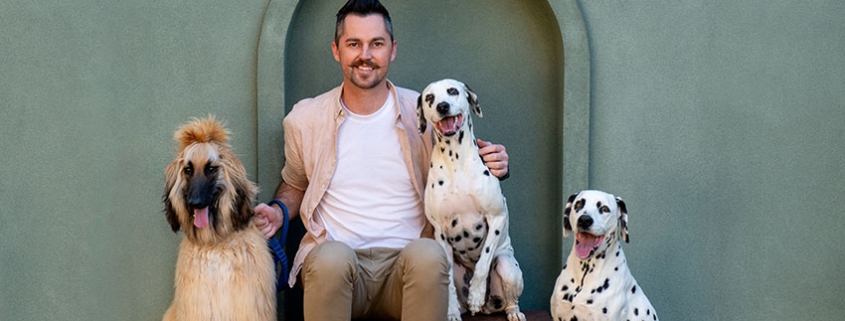 pet photography brisbane dalmatians and afghan hound